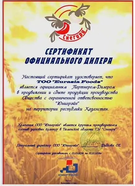 Диплом и благодарственное письмо 4 из 5, скан с официального сайта компании
